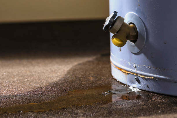 Best Water damage restoration near me  in Stroville, CA