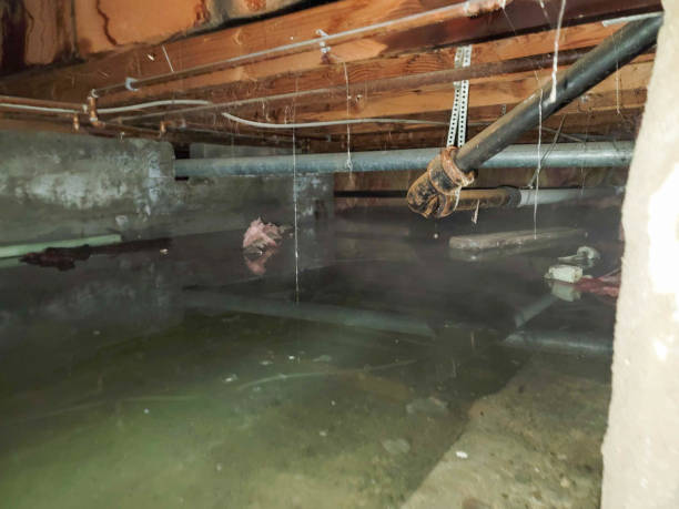 Best Carpet water damage restoration  in Stroville, CA