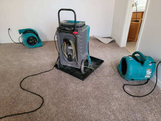 Best Basement water damage restoration  in Stroville, CA