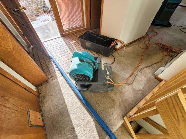 Best Water damage cleanup near me  in Stroville, CA