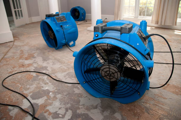 Best Residential water damage restoration  in Stroville, CA