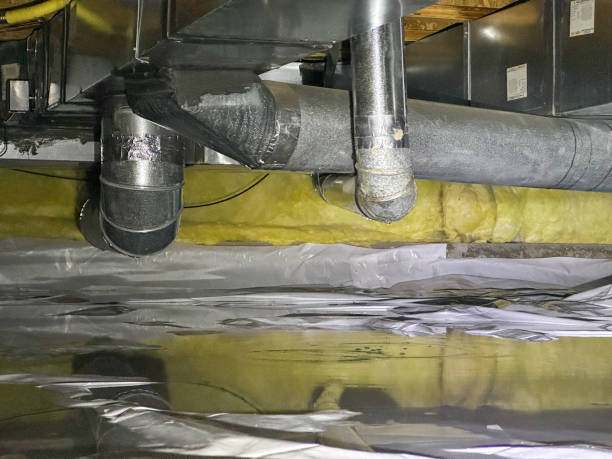 Best Professional water damage repair  in Stroville, CA