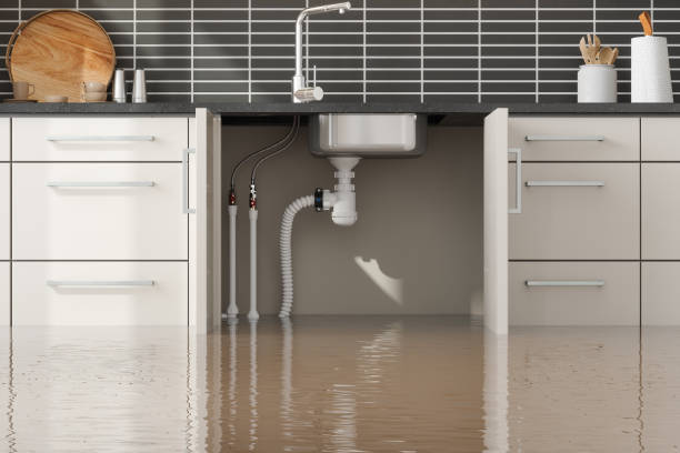Best Local water damage restoration  in Stroville, CA
