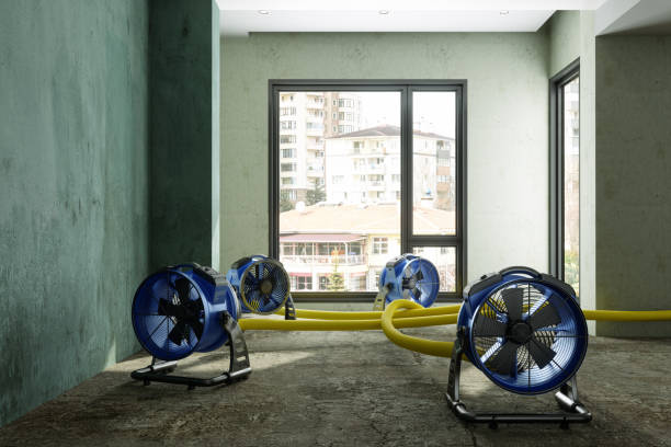 Best Water damage restoration process  in Stroville, CA